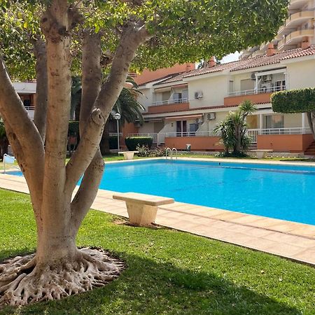 Apartamento PARADISE Solo Familias Gandía Esterno foto
