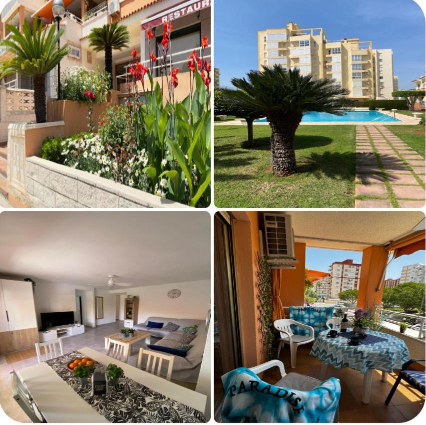 Apartamento PARADISE Solo Familias Gandía Esterno foto