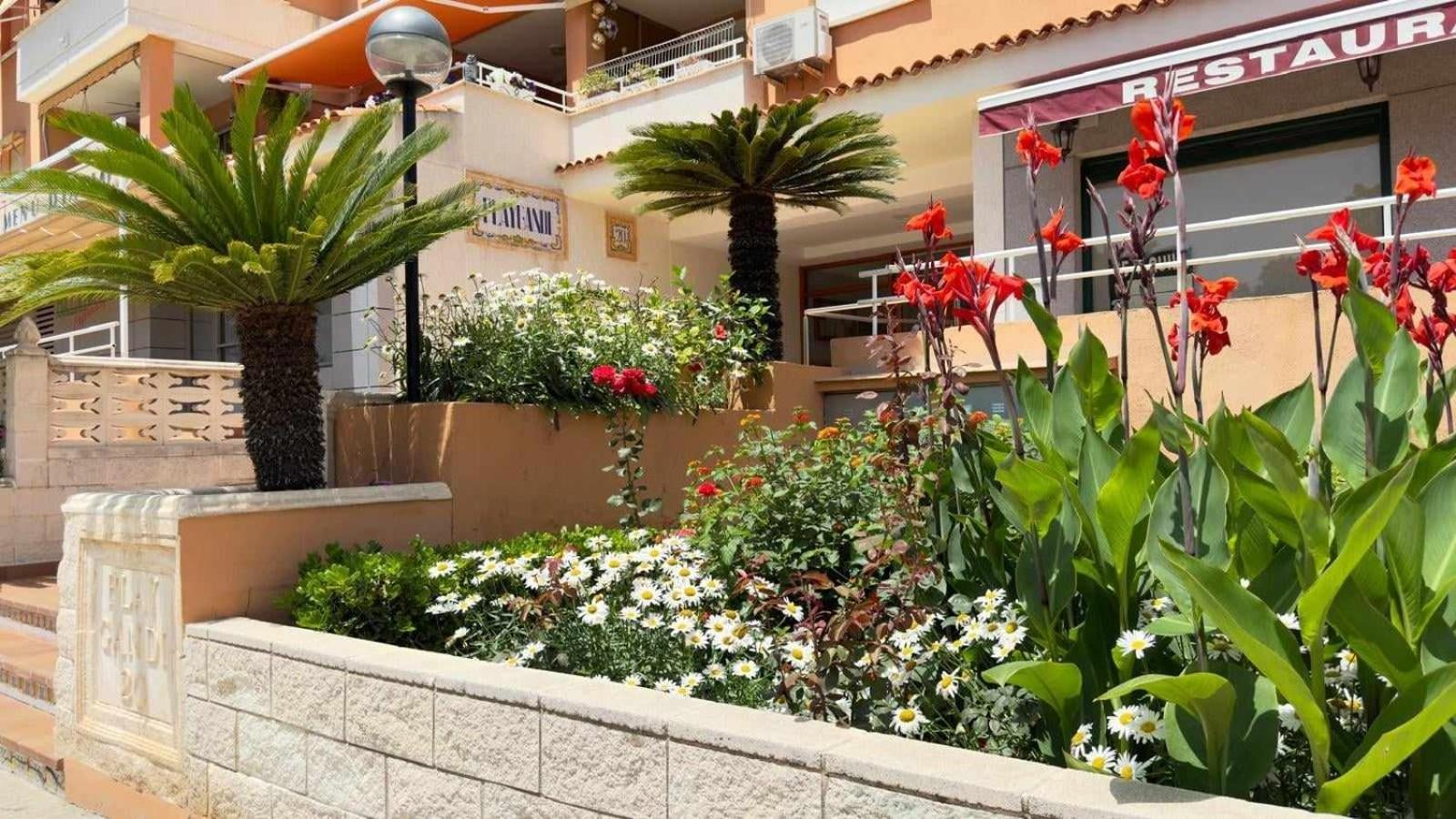Apartamento PARADISE Solo Familias Gandía Esterno foto