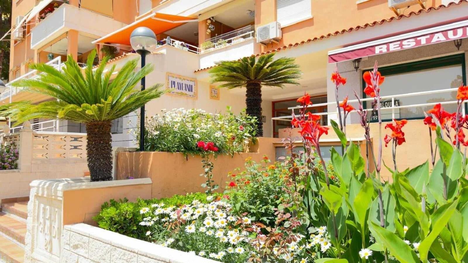 Apartamento PARADISE Solo Familias Gandía Esterno foto